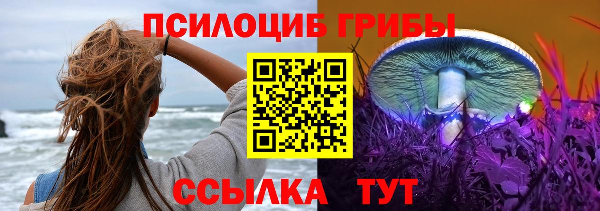 Галлюциногенные грибы GOLDEN TEACHER  Галлюциногенные грибы мицелий  что такое   Вход с VPN  Вологда 